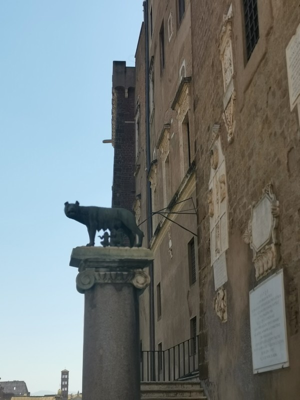 Capitoliumi farkas - Piazza del Campidoglio melletti oszlopon elhelyezve - eredeti másolata